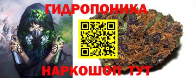 герыч Новокубанск